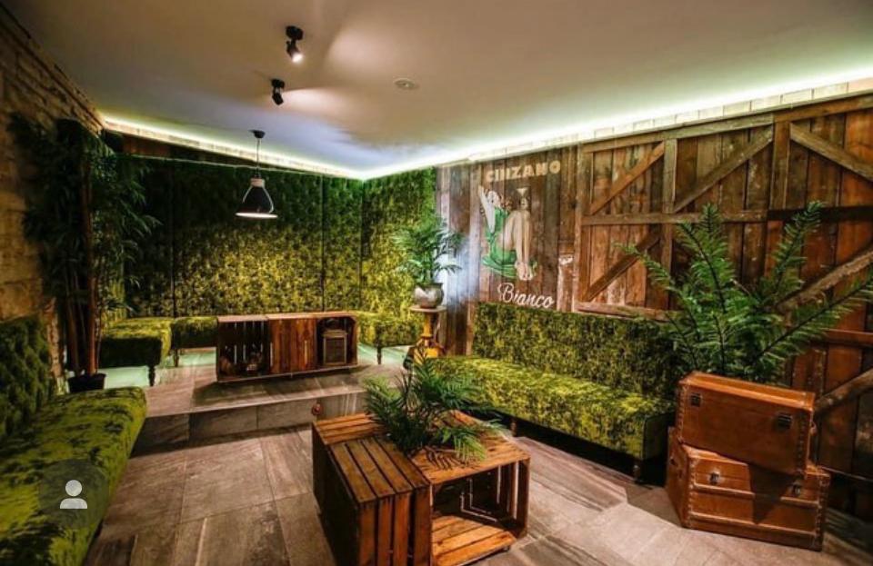 Alternate wide image of green seating, timber walls, plants and wooden crate tables.